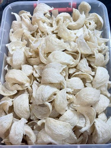 TỔ YẾN RÚT LÔNG KHÔ